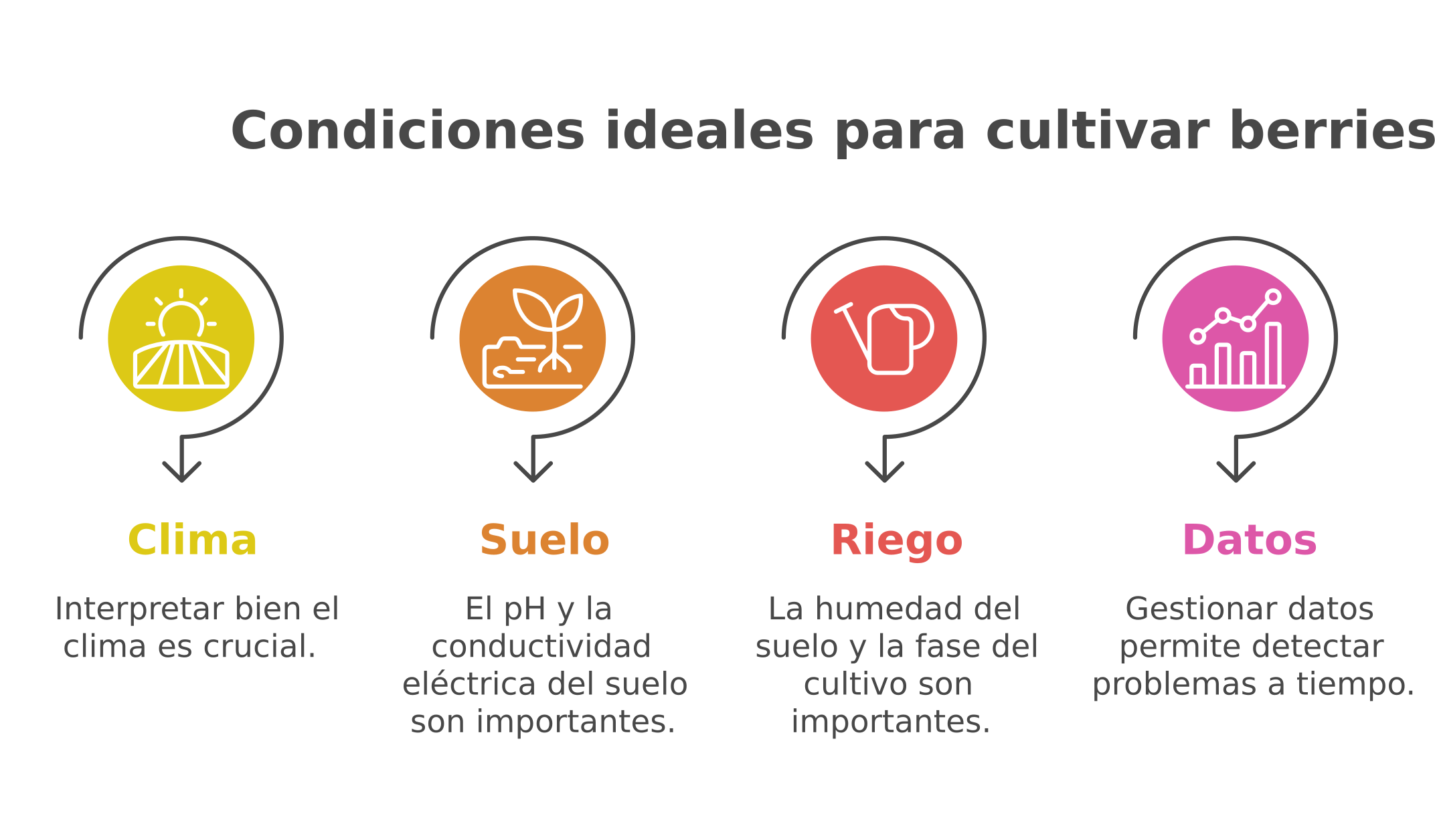 Condiciones-ideales-para-cultivar-berries-con-exito