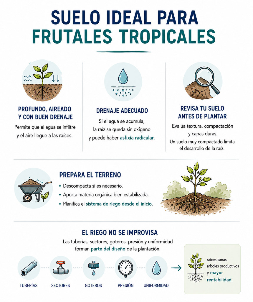suelo-frutales-tropicales