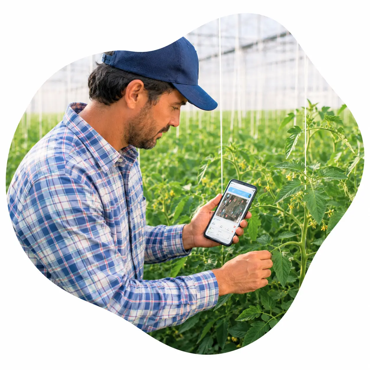 Solutions d'irrigation UCROP